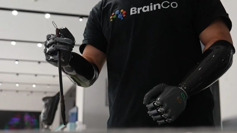 科技公司有哪些类型：解析科技企业的多元面貌