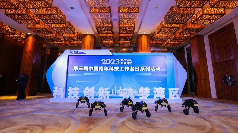 科技公司产品报价：揭秘背后的考量因素**